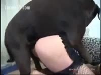 Petite bitch craves for a dog creampie